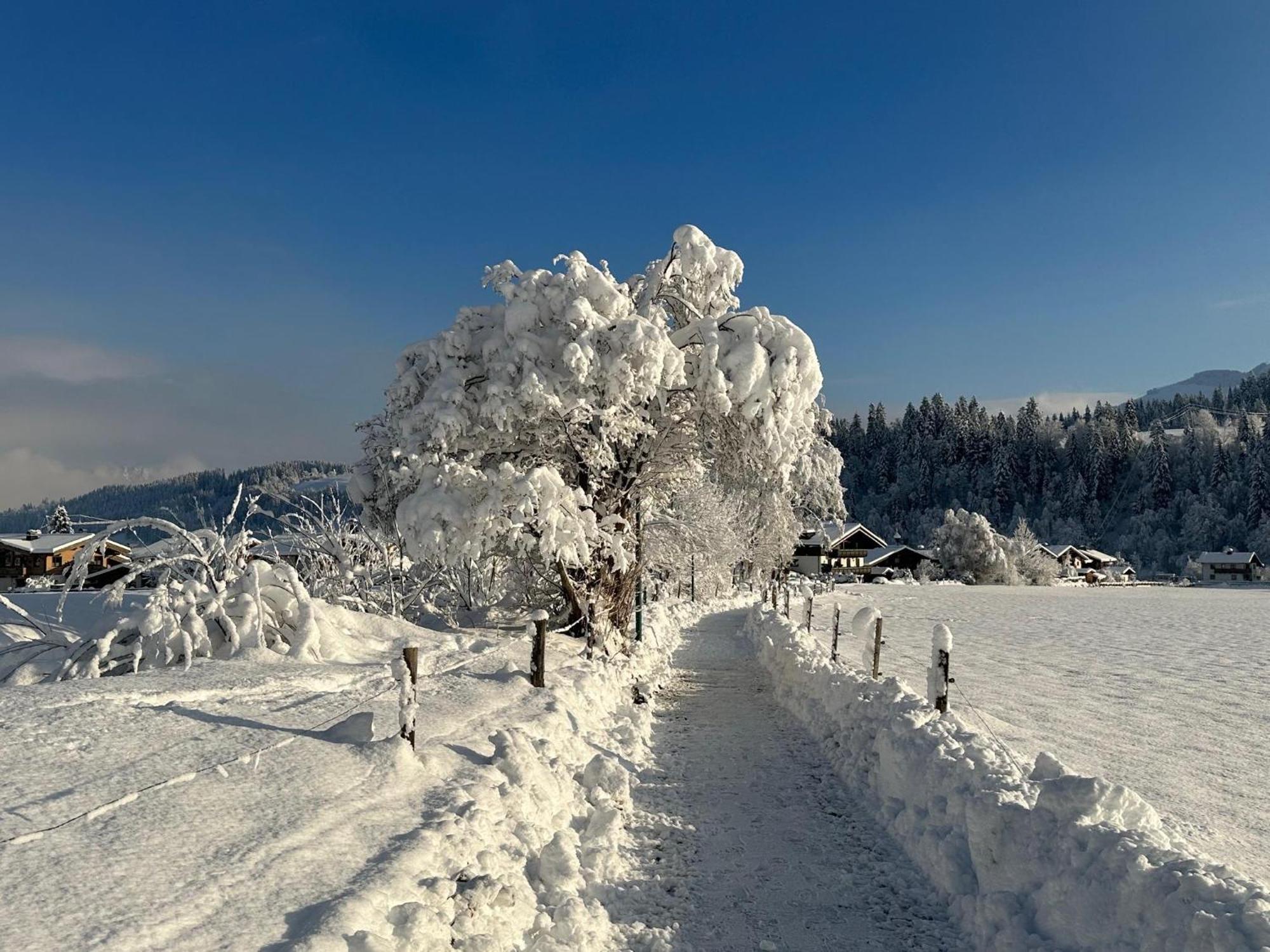 Pon-Apart Reith bei Kitzbühel Buitenkant foto
